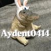 aydent0414_