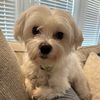 maddogmaddie03451