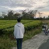 mhdadryn0127
