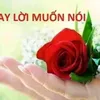 user8146629986760