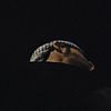abdullah_pats7