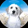 franpipi24