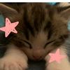 tasyaawwwww
