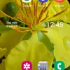 user7680210843474