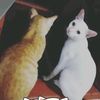 cil_ti