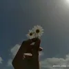 yepimjamm_