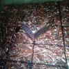 brownis695