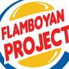 flamboyanproject_