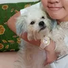 chlsea.nn