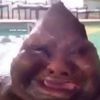xcheezzymodex