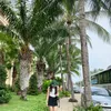 .khling