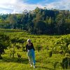 produkjampang03