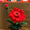 myphuonghoang582