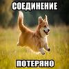 popik_gavnyashka