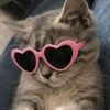 aishah1279