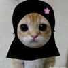 zahirabilondatu_