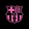 ___06___viscabarca