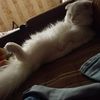 karolinka1128