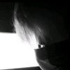 synzx_923