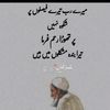 a1aiman_khan5