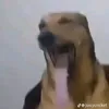 babaque2