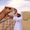 s7rii9a