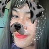 fis_hy7