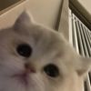 sugus__02