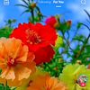 nermin34570