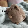 fofofgf