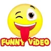 funnyvibinvids