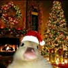 capybara67743