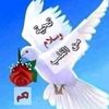 user3900917673174