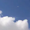ayahababi