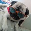 joyce_parrales