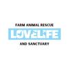 Love Life Animal Rescue