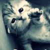 sadifect