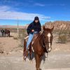thetravelinglog