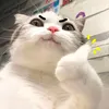 do_nhi08