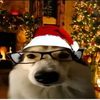 jay_boxer09