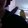 they_love_s0sa