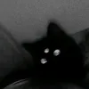 flowerfell_infp