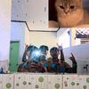 story_as1