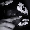 lil.cham