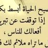 user2314095980418