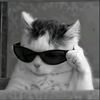 hazem.mohamed453