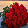 kamran.kami444