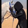 alaabintalashraf0515