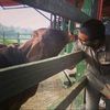 ganaderia_aly