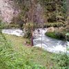 user5304915129935